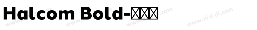 Halcom Bold字体转换
